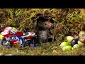 man builds tiny village for family of mice after he discovers them living in his garden