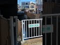 八王子市子安町1丁目　山田川　2024 1.9