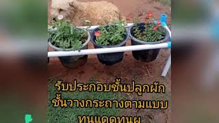 รับผลิตชั้นวางกระถาง  ชั้นปลูกผัก ผักกระถาง จากท่อพีวีซี. จำหน่ายกระถางพลาสติก ข้อต่อพีวีซีรา