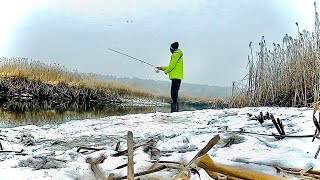 ZIMOWE OKONIE❄️| KONKURS ŚWIĄTECZNY z @mistrallfishing9573