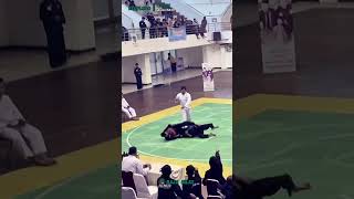 Ketika tendangan ketangkap GUNTING SAJA #pencaksilat