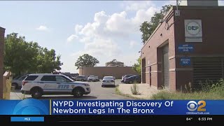 NYPD investigating discovery of newborn's body parts in the Bronx