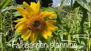 Hoping for a fall garden!