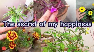 🔴The secret of my happiness🪴🌼