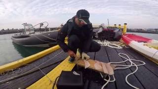 Slicing raw fish on dock during Dolphin Tour