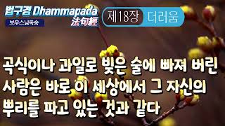 법구경 [담마빠다]  제18장 더러움