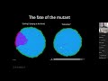 26/01/2024 Bartlomiej Waclaw - Substrate geometry affects population dynamics in a bacterial biofilm