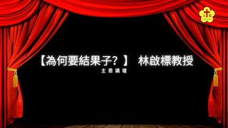 2024年6月9日 主恩講壇 【為何要結果子？】 林啟標教授