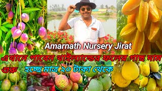 Amarnath Nursery Jirat || এখানে পাবেন থাইল্যান্ডের ফলের গাছ দাম শুরু হচ্ছে মাত্র ২০ টাকা থেকে