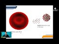 charla nanopartículas metálicas – síntesis caracterización y aplicaciones