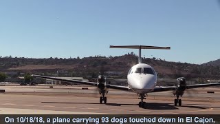 93 Very Good Dogs: #SeaWorldRescue helps San Diego Humane Society with unusual rescue