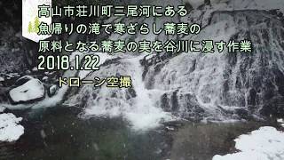 ドローン空撮4k高山市荘川町　寒ざらし蕎麦の実浸水作業風景