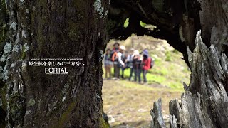 【宮崎県の登山】原生林の美しい三方岳へ(宮崎県椎葉村)