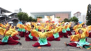 静岡大学よさこいサークル  お茶ノ子祭々 @ 茶ノ国祭り (清水駅東口広場) 2019-06-30T17:12