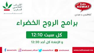 فدرالية تعاونيات فرز و تثمين النفايات بالمغرب