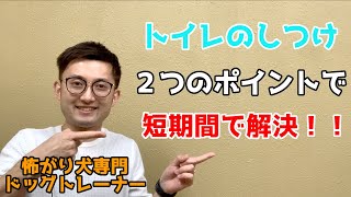 【短期間で解決！】子犬から成犬まで使える”２つのポイント”で成功へ導くトイレトレーニング！