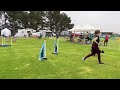 2022 uki west coast cup masters jumping agility wren