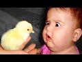 Funniest Babies And Animals Compilation || Just Laugh