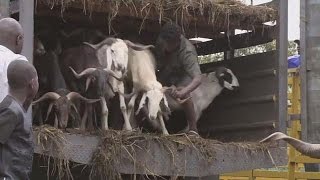 Gabon : les musulmans célèbrent la fête de la Tabaski