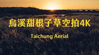 4K台中｜甜根子草 烏溪 秋天 Autumn Taichung Sunset Aerial Photography 芒草 Wild Sugracane 河床 夕陽 黃昏 台灣高鐵 台中素材 空拍素材