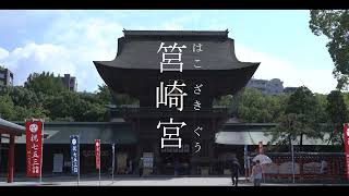 【グローバルクリエイター専門学校】筥崎宮PVを本気で作ってみた