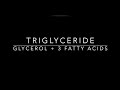 Triglycerides