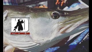 Musky Fishing the PMTT in Cave Run, Kentucky and Eagle River, Wisconsin