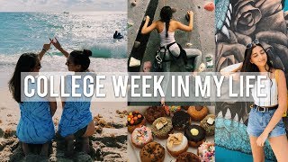 COLLEGE WEEK IN MY LIFE | Florida Atlantic University