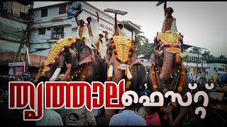 THRITHALA FEST || എവിടെ നോക്കിയാലും ആനകൾ തൃത്താല നേർച്ച..2023