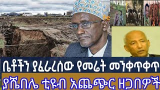 የሼበሌ ቲዩብ መረጀዎች 2 January 2025