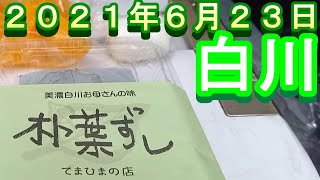 鮎釣り 垢ぐされ 白川 2021年