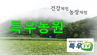 평택항 서해대교 아래에서