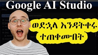 ሁሉንም ነገር በነጻ ለመማር በጣም ወሳኝ AI / Google AI Studio