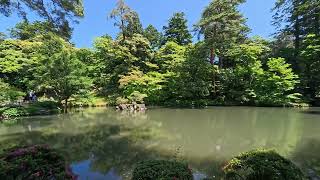 Japan Walking Tour -Kenrokuen, the most Famous Garden in Japan