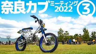 まだまだッ！スーパーカブだらけ【奈良カブミーティング③】全塗装・カブ以外もいます！Over 6500 Super Cub! the meet up in NARA JAPAN【モトブログ】