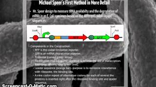 codon optimization