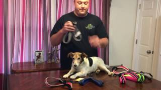 Which Tre Ponti Dog Harness is Right For Your Small Dog?