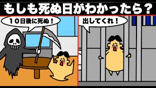 【アニメ】もしも死ぬ日がわかったら？その後生活はどうなってしまうのか？【マンガ・漫画・ドイヒーくん】