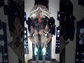 Waframe hydroid deluxe skin bug?