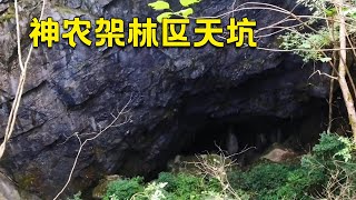 小伙神农架大冒险，进入林区天坑一探究竟，不料竟发生了意外状况！【户外小北哥】