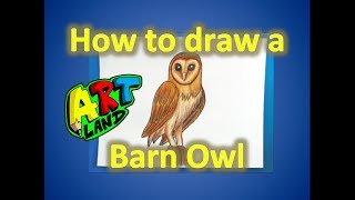 How to Draw a Barn Owl