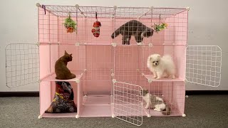 DIY Prefab House Install for Pomeranian Poodle puppies & New kitten - Building House Fun Dog Video