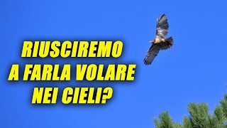 SFIDA AL CIELO | LA MIA POIANA RIUSCIRA' A VOLARE?