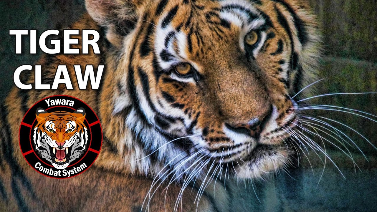 Tiger Claw Youtube