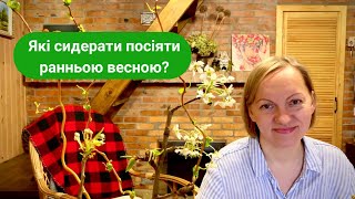 Які сидерати посіяти ранньою весною? Чи є сенс їх сіяти в цю пору?