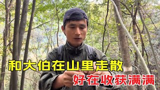 和大伯在山里走散了，好在我们都收获满满，回家用山货做饭真下饭#我的乡野山居生活【乡野志刚】