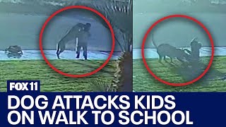 Dog attacks two young kids on walk to school