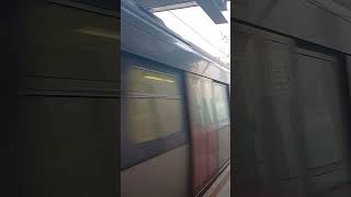 SP1900, TML C-Train and 2 R-Train in one video