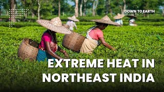 Why is Northeast India facing Extreme Heat?