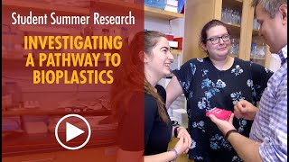 Research Students Investigating Pathway to Bioplastics